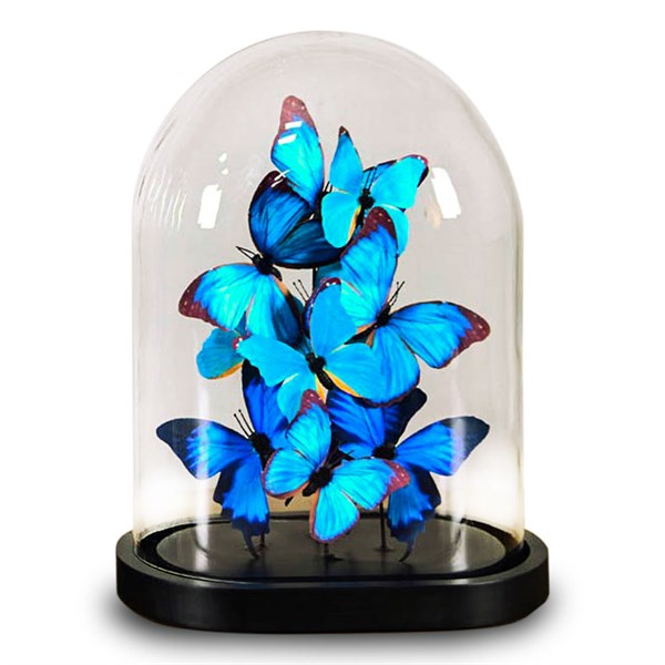 Fancy - Fancy Ass. Blue Butterflies On Oval Globe